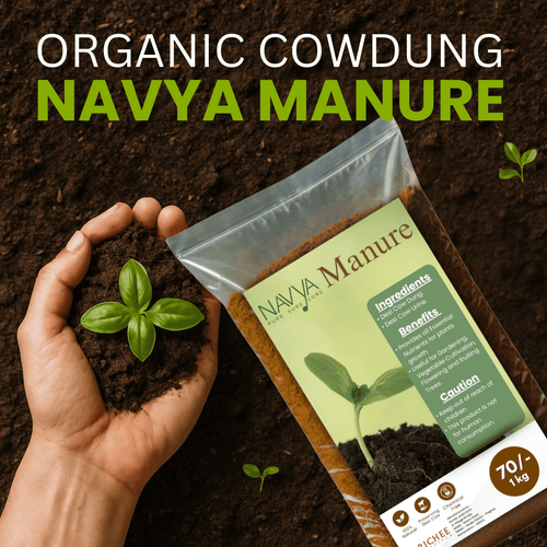 Navya Cow Manure