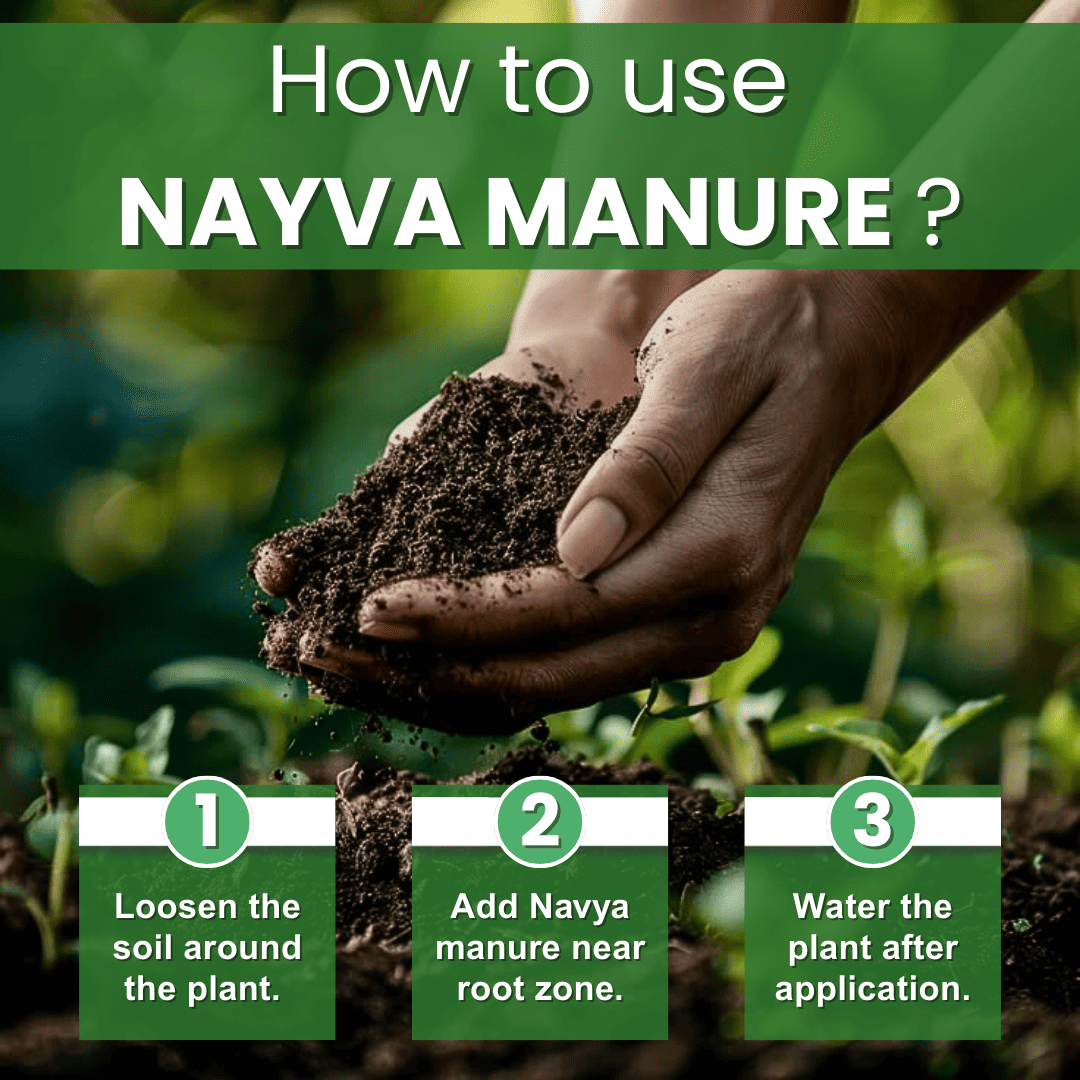 Navya Cow Manure