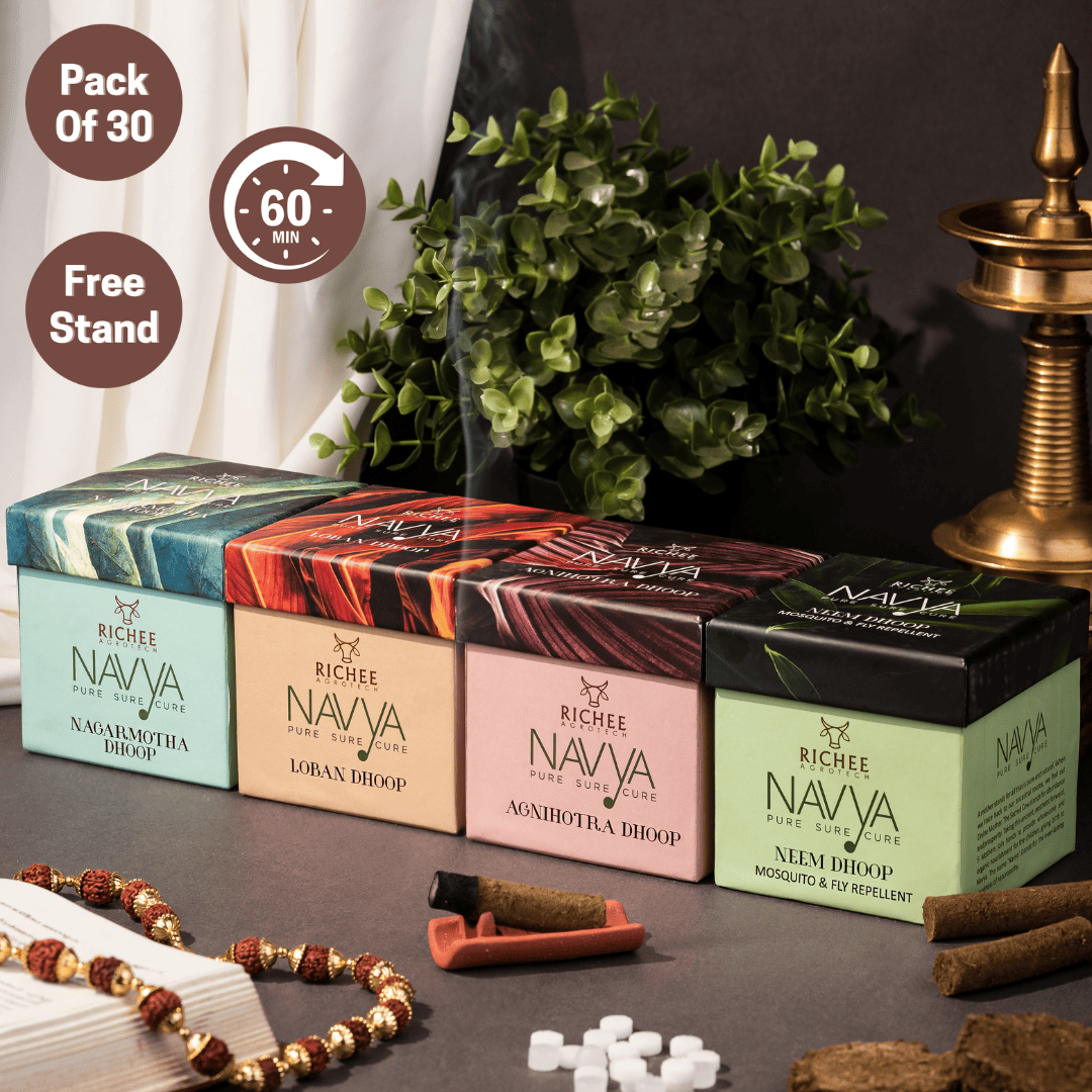 Navya Luxury Dhoop Set