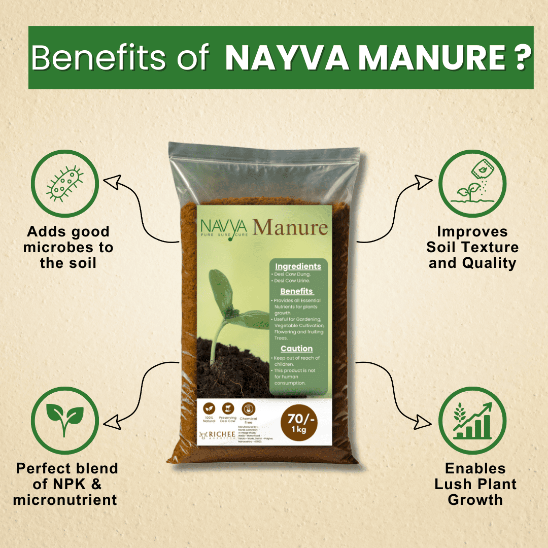 Navya Cow Manure