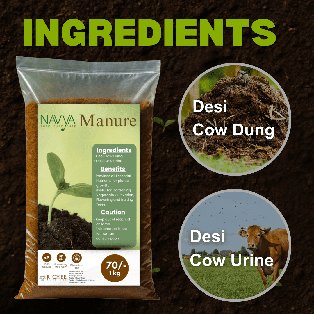 Navya Cow Manure